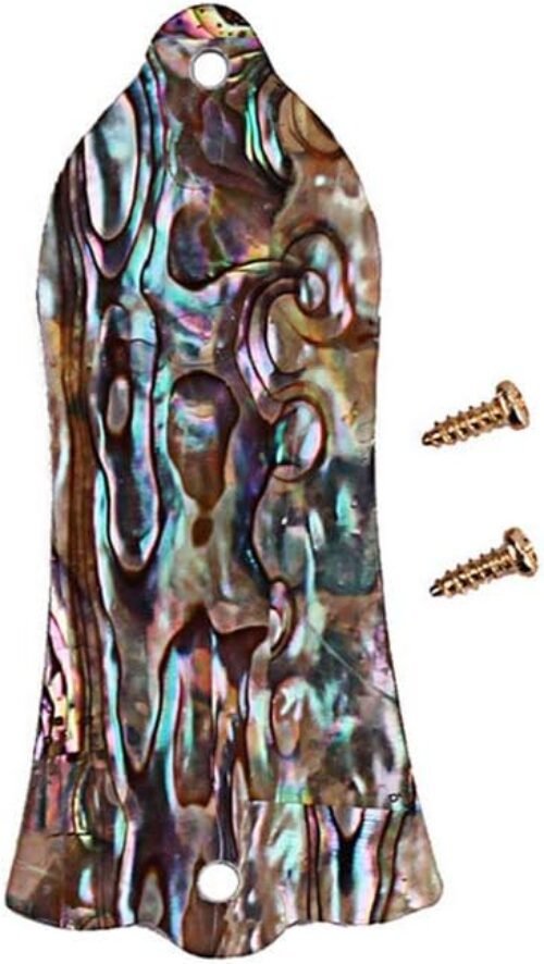 Alnicov Guitar Truss Rod Cover，Natural Abalone Shell Truss Rod Cover，with 2 Holes Fits for Gibson Les Paul Guitar