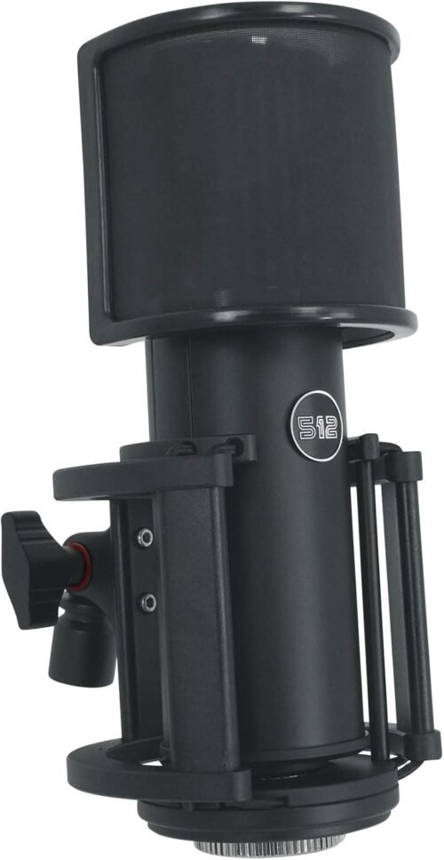by Warm Audio Skylight Large Diaphragm Studio Condenser XLR Microphone + Shock Mount + Bag for Recording and Podcasting