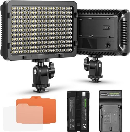 Neewer Dimmable 176 LED Video Light on Camera LED Panel with 2200mAh Li-ion Battery and Charger for Canon, Nikon, Samsung, Olympus and Other Digital SLR Cameras for Photo Studio Video Photography