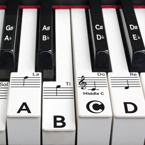 Piano Key Stickers for 88/76/61/54/49 Keys, Removable Piano Stickers for Beginners, Piano Keyboard Stickers for Kids, Keyboard Stickers for Piano Keys, Piano Key Labels Notes (Black)